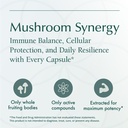 natura-health-products-mushroom-synergy--6.jpg