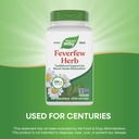 nature-s-way-feverfew-herb-traditional-s-4.jpg