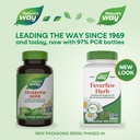 nature-s-way-feverfew-herb-traditional-s-2.jpg