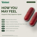 gut-health-immunity-combo-colitis-ibd-as-4.jpg