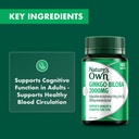 nature-s-own-ginkgo-biloba-2000mg-tablet-6.jpg