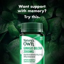 nature-s-own-ginkgo-biloba-2000mg-tablet-4.jpg