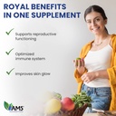 america-medic-science-royal-jelly-500mg--6.jpg