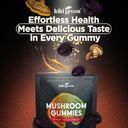 kiki-green-mushroom-gummies-with-lion-s--4.jpg