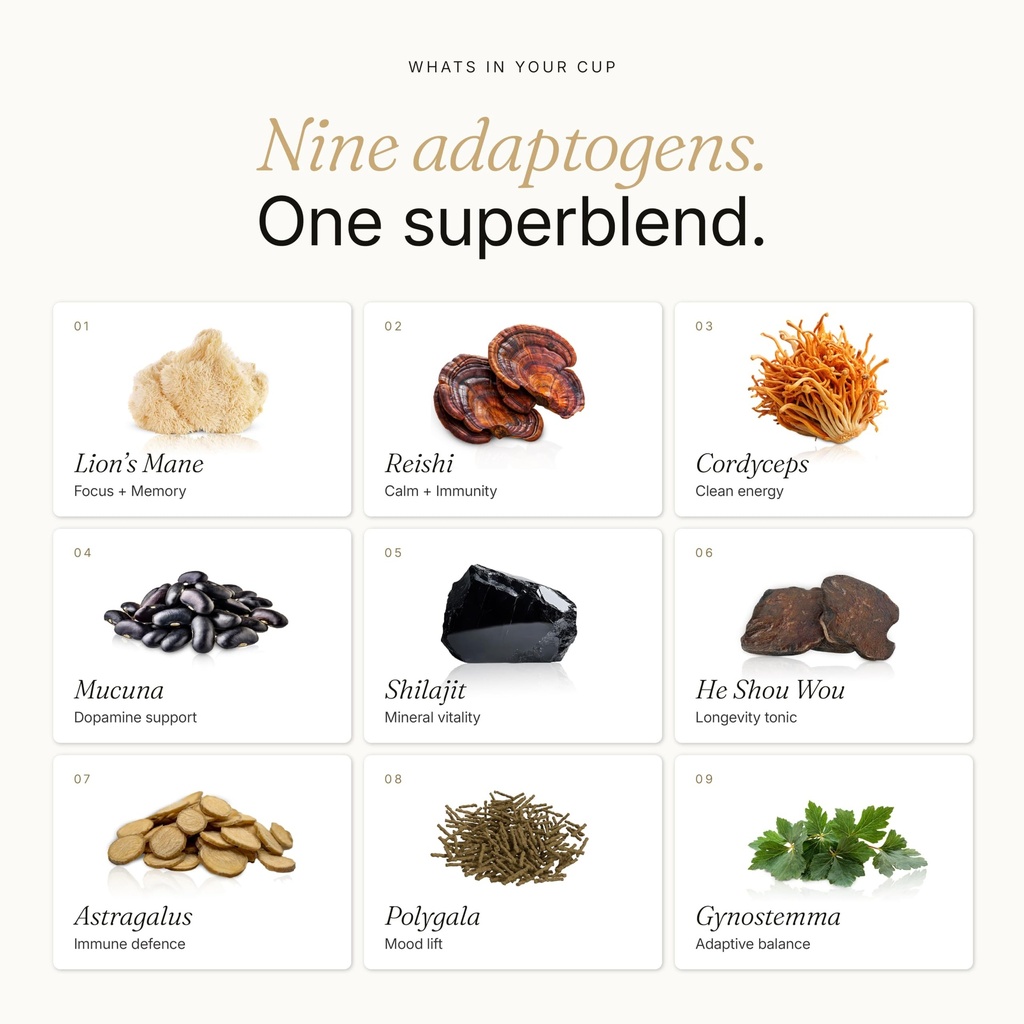 mushroom-coffee-enhancer-10-1-adaptogeni-3.jpg