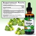 nature-s-answer-alcohol-free-ginkgo-leaf-3.jpg