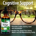nature-s-answer-alcohol-free-ginkgo-leaf-5.jpg