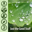nature-s-answer-alcohol-free-ginkgo-leaf-4.jpg