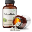 futurebiotics-ginkgo-biloba-extra-streng-5.jpg
