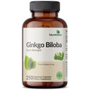 futurebiotics-ginkgo-biloba-extra-streng-4.jpg