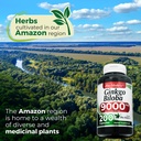 fito-medic-s-ginkgo-biloba-ginkgo-biloba-6.jpg