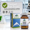 pure-mountain-botanicals-ginkgo-biloba-c-5.jpg
