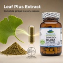 pure-mountain-botanicals-ginkgo-biloba-c-4.jpg