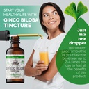 ginkgo-biloba-tincture-organic-ginkgo-bi-4.jpg