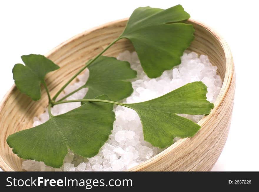 wildcrafted-ginkgo-biloba-leaf-powder-16-6.jpg