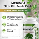 greenatr-ginkgo-biloba-panax-ginseng-sup-4.jpg