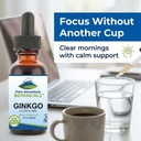 pure-mountain-botanicals-gingko-biloba-l-4.jpg