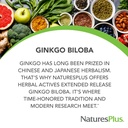 naturesplus-herbal-actives-ginkgo-biloba-3.jpg