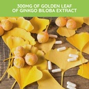 beljanski-products-ginkgo-v-dietary-supp-5.jpg