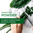 emerald-labs-ginkgo-biloba-extract-brain-3.jpg