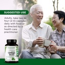 emerald-labs-ginkgo-biloba-extract-brain-5.jpg