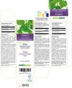 naturalma-ginkgo-ginkgo-biloba-leaf-alco-2.jpg
