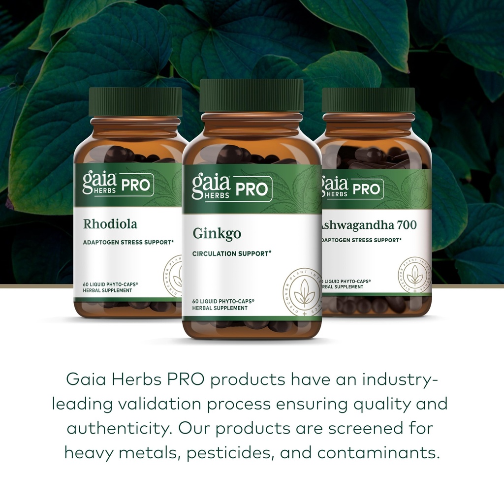 gaia-herbs-pro-ginkgo-healthy-blood-flow-6.jpg