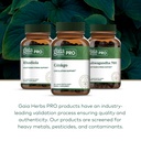 gaia-herbs-pro-ginkgo-healthy-blood-flow-6.jpg