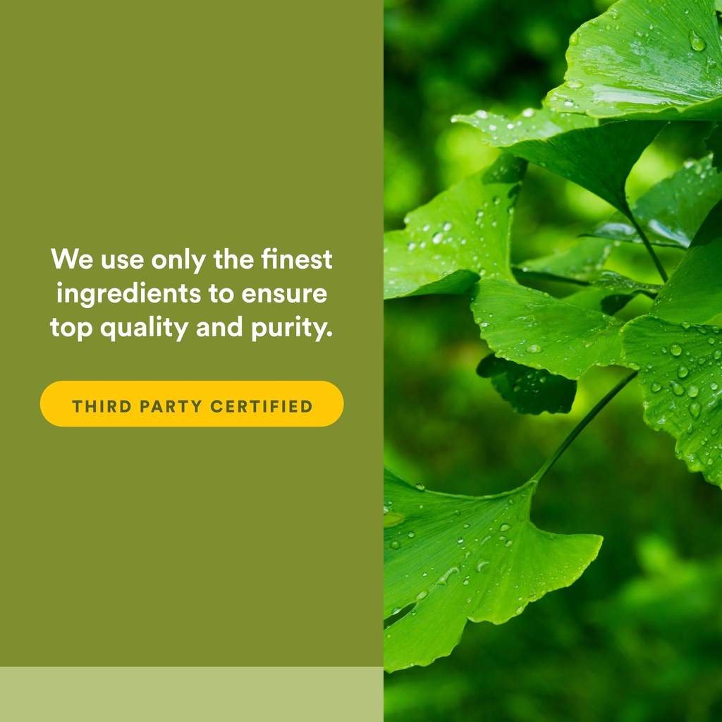 herbalfactors-by-natural-factors-ginkgo--5.jpg