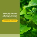 herbalfactors-by-natural-factors-ginkgo--5.jpg