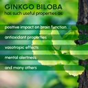 ginkgo-biloba-powder-8-oz-pure-natural-s-2.jpg