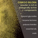 ginkgo-biloba-powder-8-oz-pure-natural-s-4.jpg