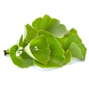 pure-original-ingredients-ginkgo-biloba--4.jpg