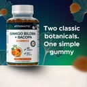 vitamatic-ginkgo-biloba-bacopa-gummies-p-3.jpg