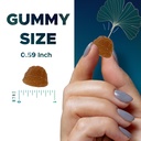 vitamatic-ginkgo-biloba-bacopa-gummies-p-4.jpg