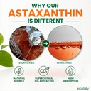 astadaily-astaxanthin-pure-algaeasta-nat-4.jpg