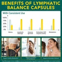 lymphatic-drainage-supplements-with-echi-6.jpg