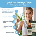 lymphatic-drainage-drops-natural-herbal--3.jpg