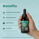 organic-lymphatic-drainage-2-pack-liquid-5.jpg