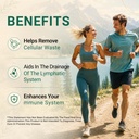 lymphatic-drainage-drops-1200mg-herbal-b-6.jpg