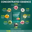 lymphatic-drainage-supplements-lymph-sys-2.jpg