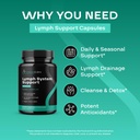 herbal-lymph-system-support-supplement-l-3.jpg