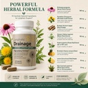 lymphatic-drainage-capsules-with-echinac-5.jpg