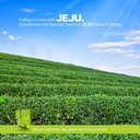 jelly-sticks-matcha-flavored-for-better--5.jpg