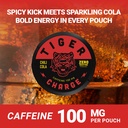 5-pack-caffeine-pouches-100-pouches-tota-5.jpg