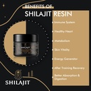 altay-mummiyo-shilajit-resin-with-fulvic-4.jpg