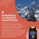 healthforce-superfoods-shilajit-120-vega-4.jpg