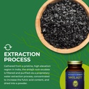 healthforce-superfoods-shilajit-120-vega-6.jpg