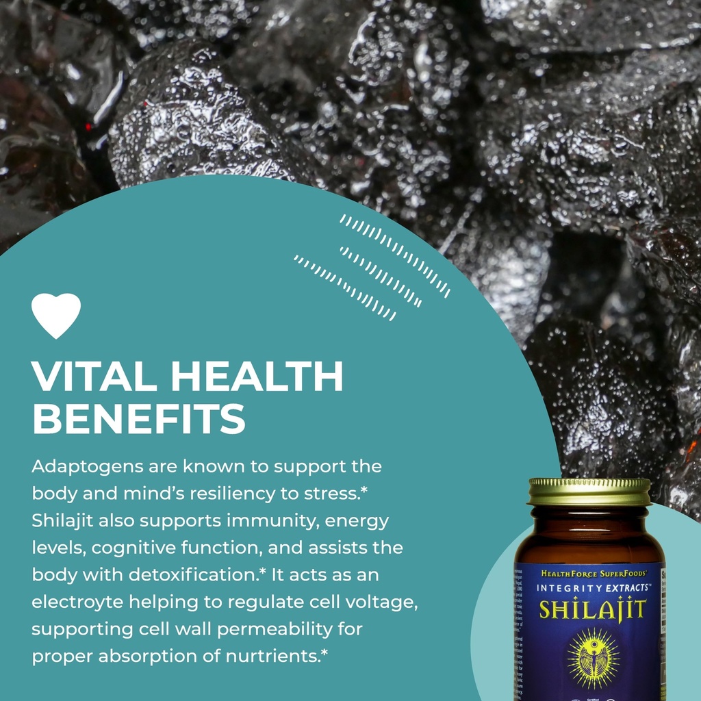 healthforce-superfoods-shilajit-120-vega-5.jpg