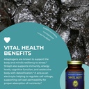 healthforce-superfoods-shilajit-120-vega-5.jpg